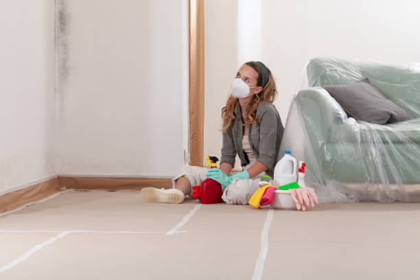 Reliable Mold Inspection contractor in Olney, TX by WQB Mold Removal